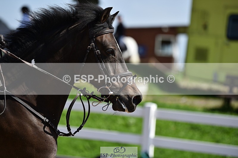 230903A-130200-04593 - Cls 19 Pony Discovery & 90cm Open