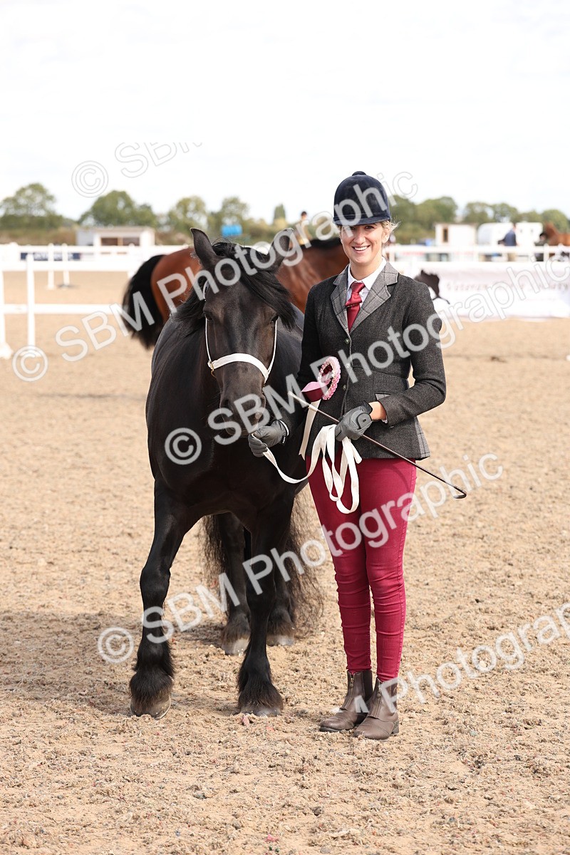 SBM_14160 - Class 207 - IH M&M