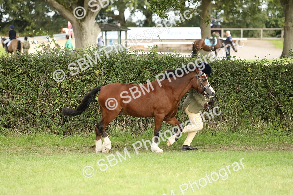 SBM_68531 - S40 - Junior Handler 9-12 Years