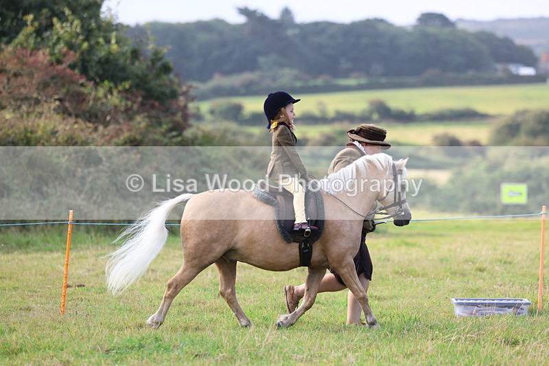 3E7A3444 - Class 2: Lead rein