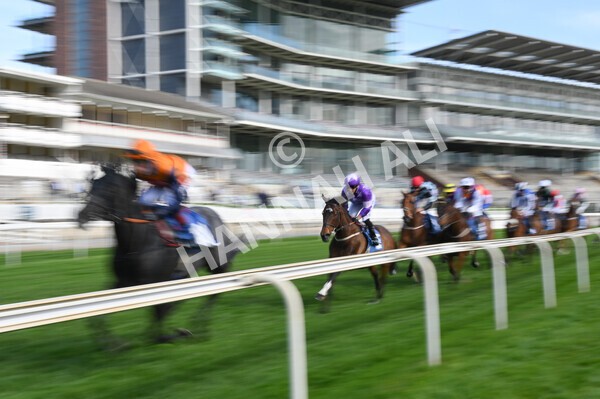 yr13052021r7-14 - Race 7 4.50pm Autohorn Stakes