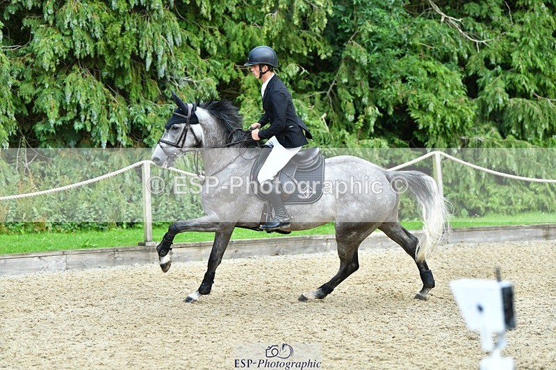 230715-162804-34164 - Cls 85 5 yr old Champ