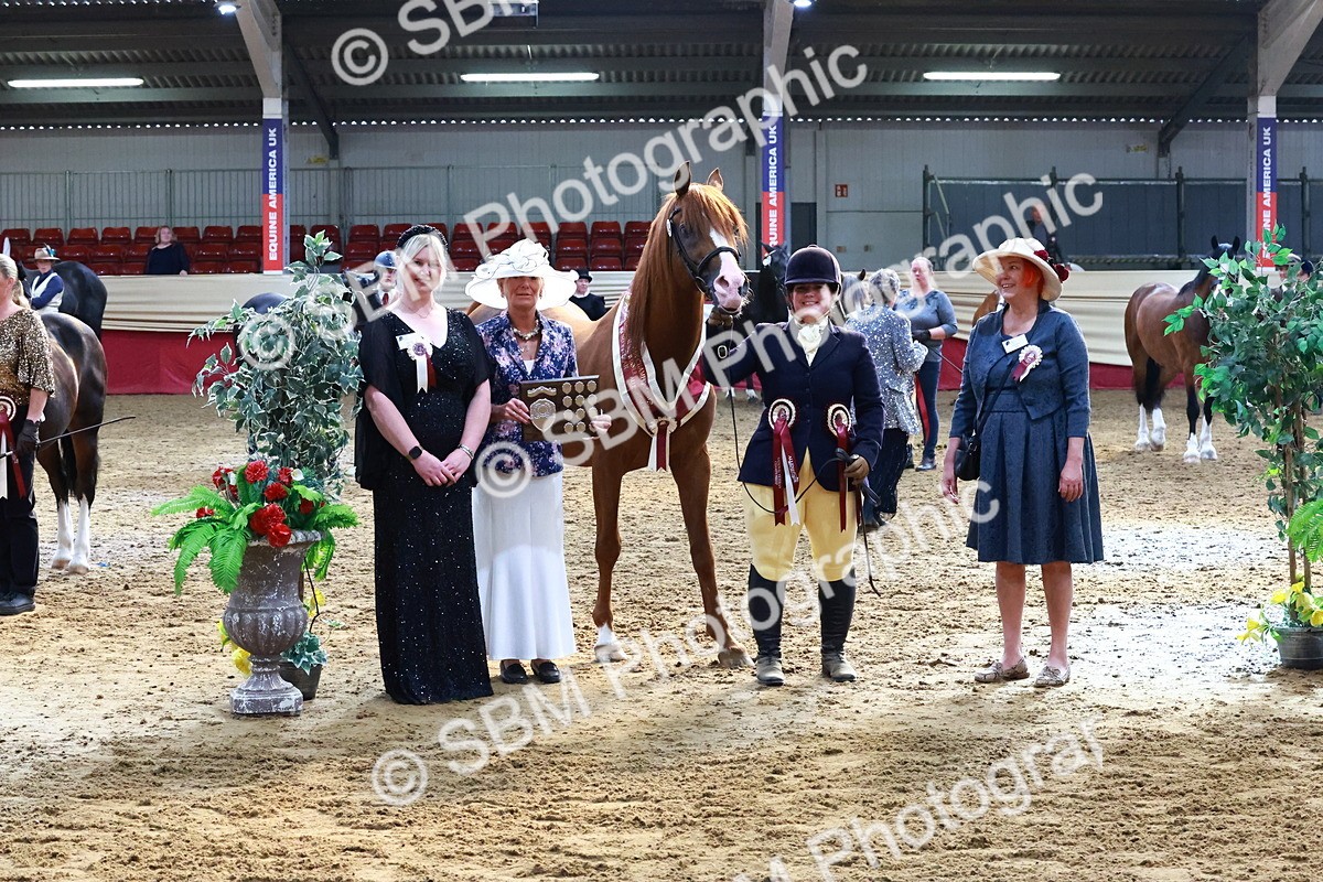 SBM_22426 - Class 902 - Supreme Final - IH Diamond