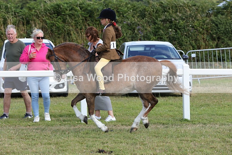 1X9A5710 - Class 40: NPS Welsh A & B