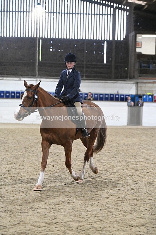 WJ7_4135 - Class 17 Ridden Cob