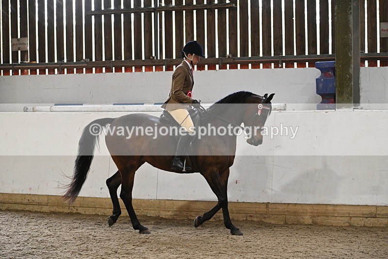 WJ7_4476 - Afternoon Champs