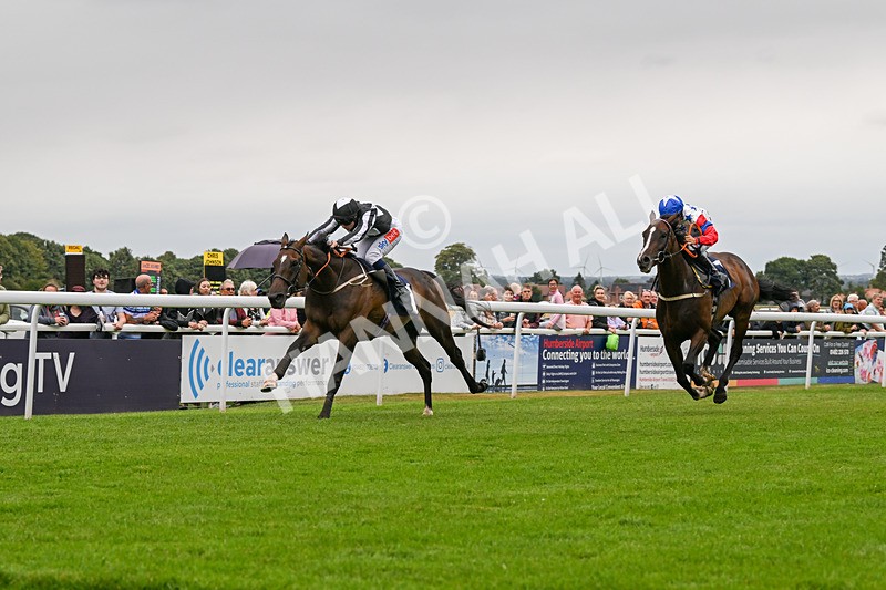 150824-Race 5-Pons Aelius-8310 - Race 5