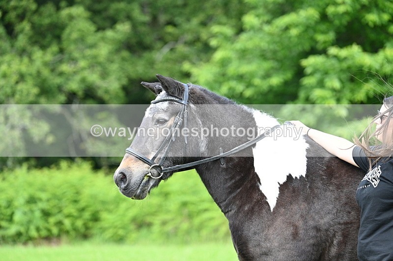 WJ7_1631 - Class 11 Condition & Turnout