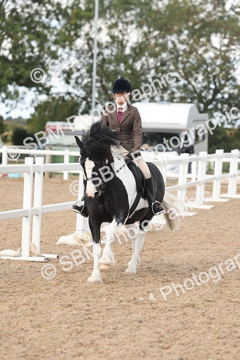 SBM_14659 - Class 307 - Ridden Coloured Pony