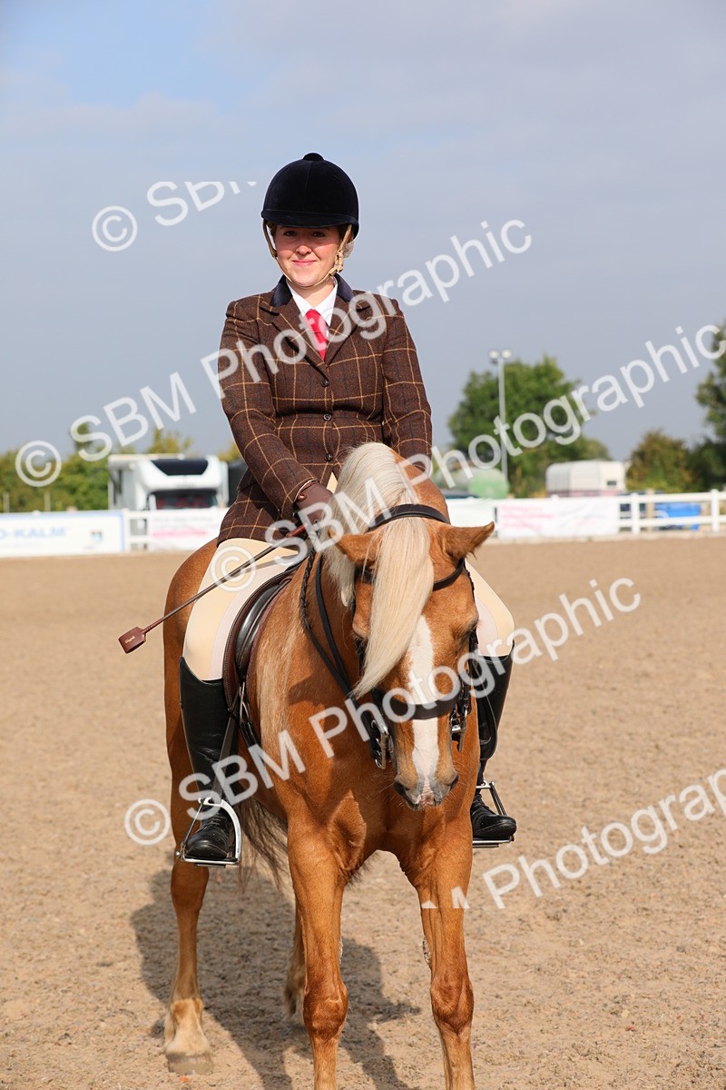 SBM_10179 - Class 302 Ridden M&M -Large Breeds