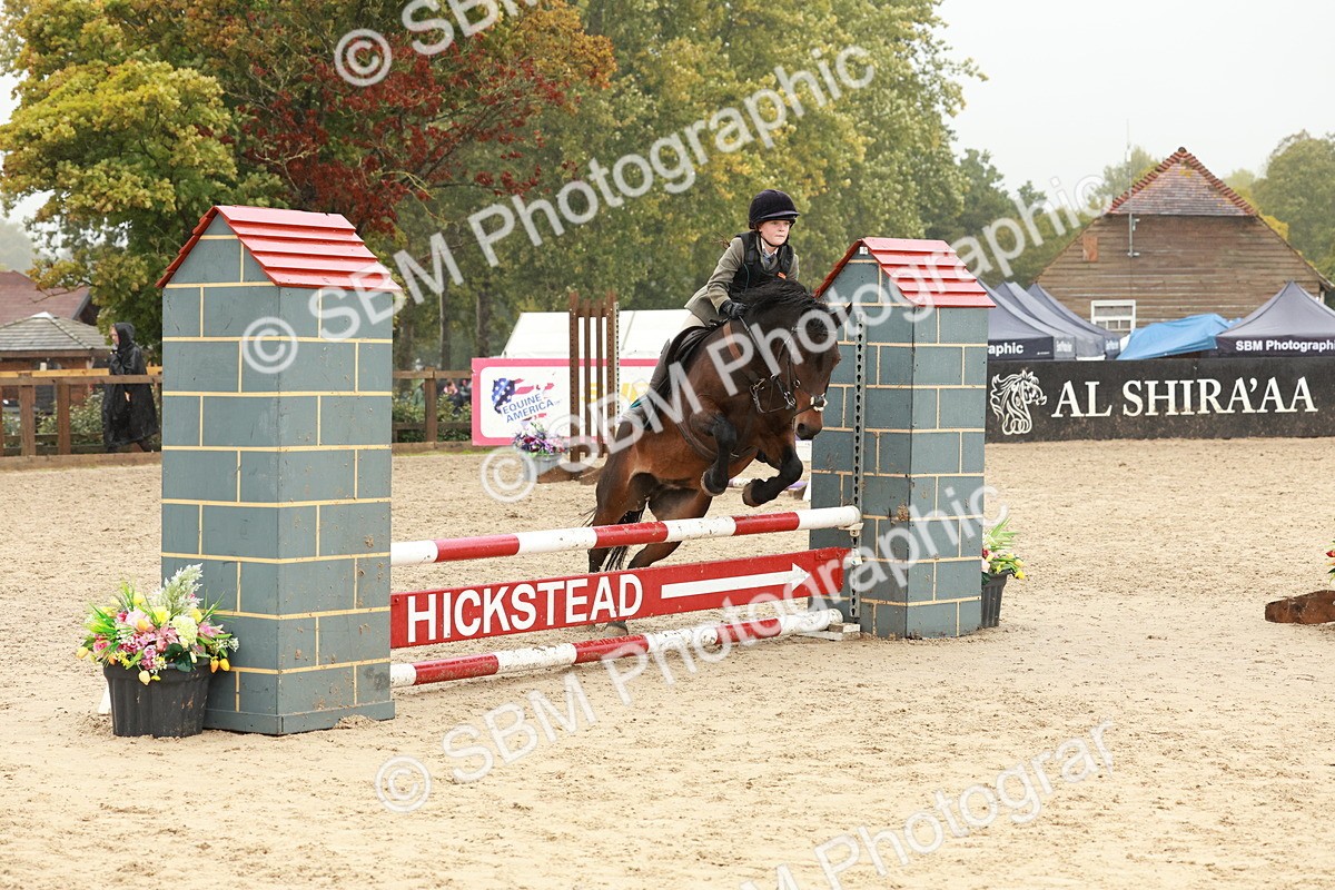SBM_73294 - Supreme Championship Junior Pony 60cm & 65cm