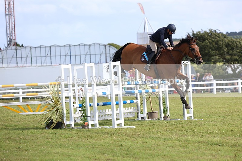 3E7A3538 - Class B: Showjumping Accumulator