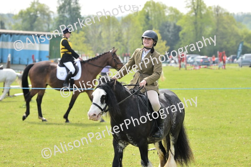 20260426-2290 - Class 20 - Beginner Working Hunter