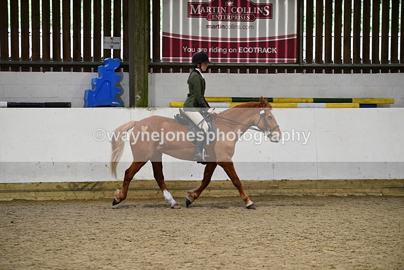 WJ5_8510 - Class 14 Novice Ridden/Rider