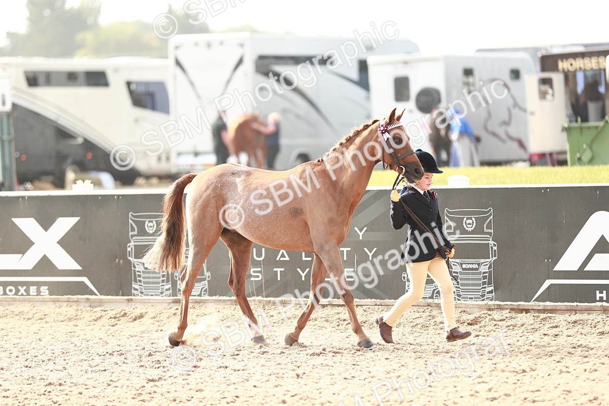 SBM_09864 - Class 203 Young Handler, 10 years and under