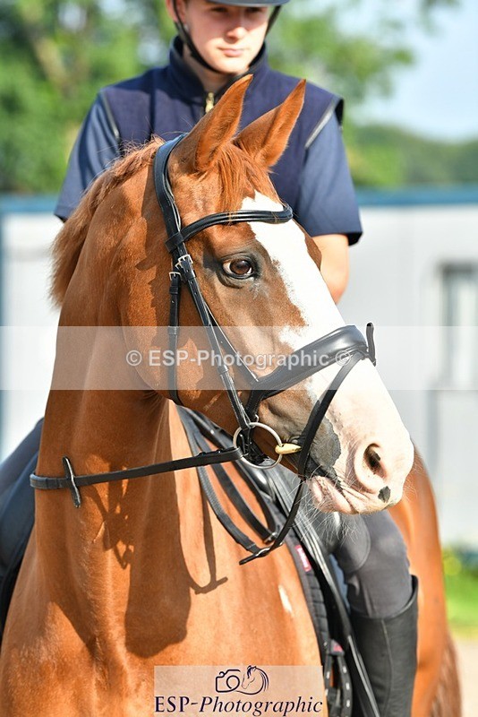 230817-083657-02433 - Stable Shots