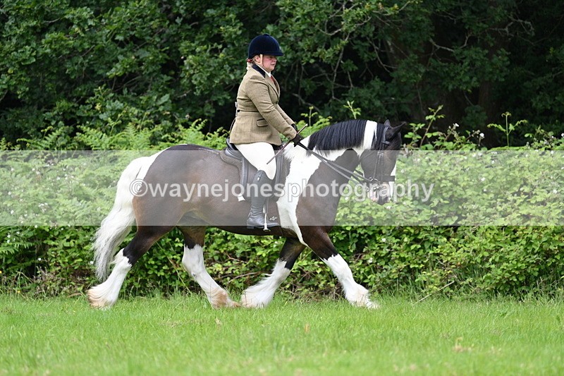 WJ7_2313 - Class 12A Coloured Class