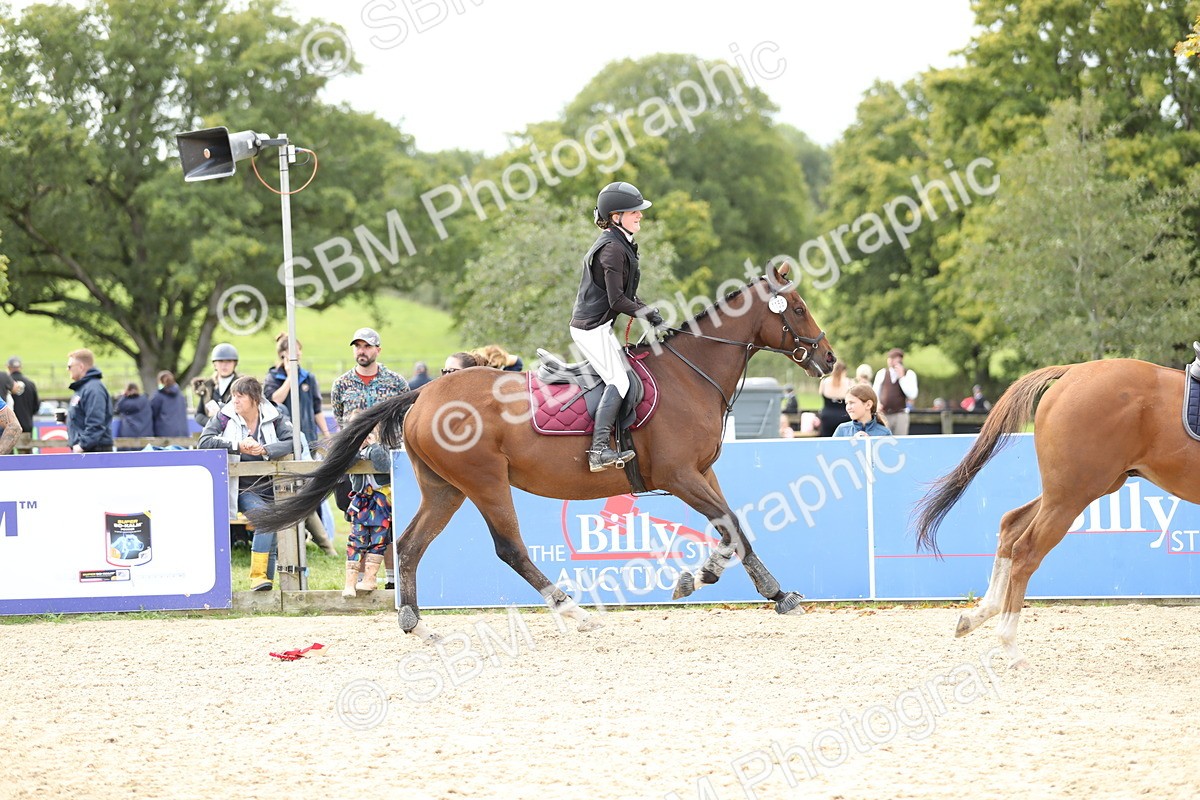 SBM_40984 - Supreme Championship 50cm 60cm