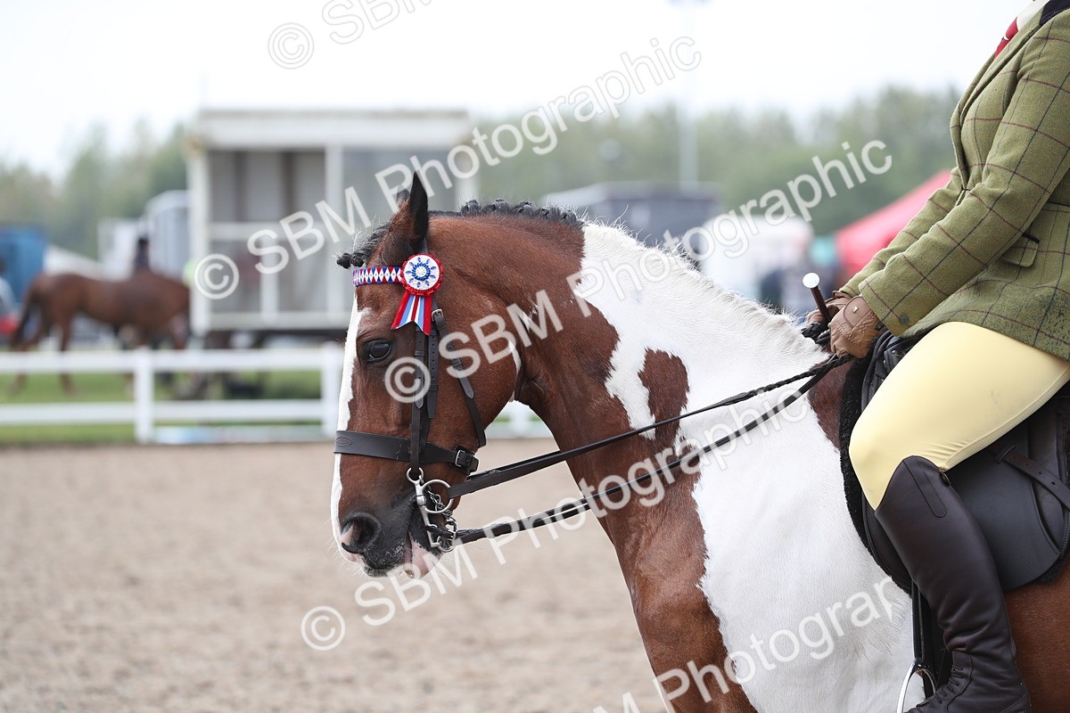 SBM_21622 - Class 602 - 2025 Area - Ridden Veteran