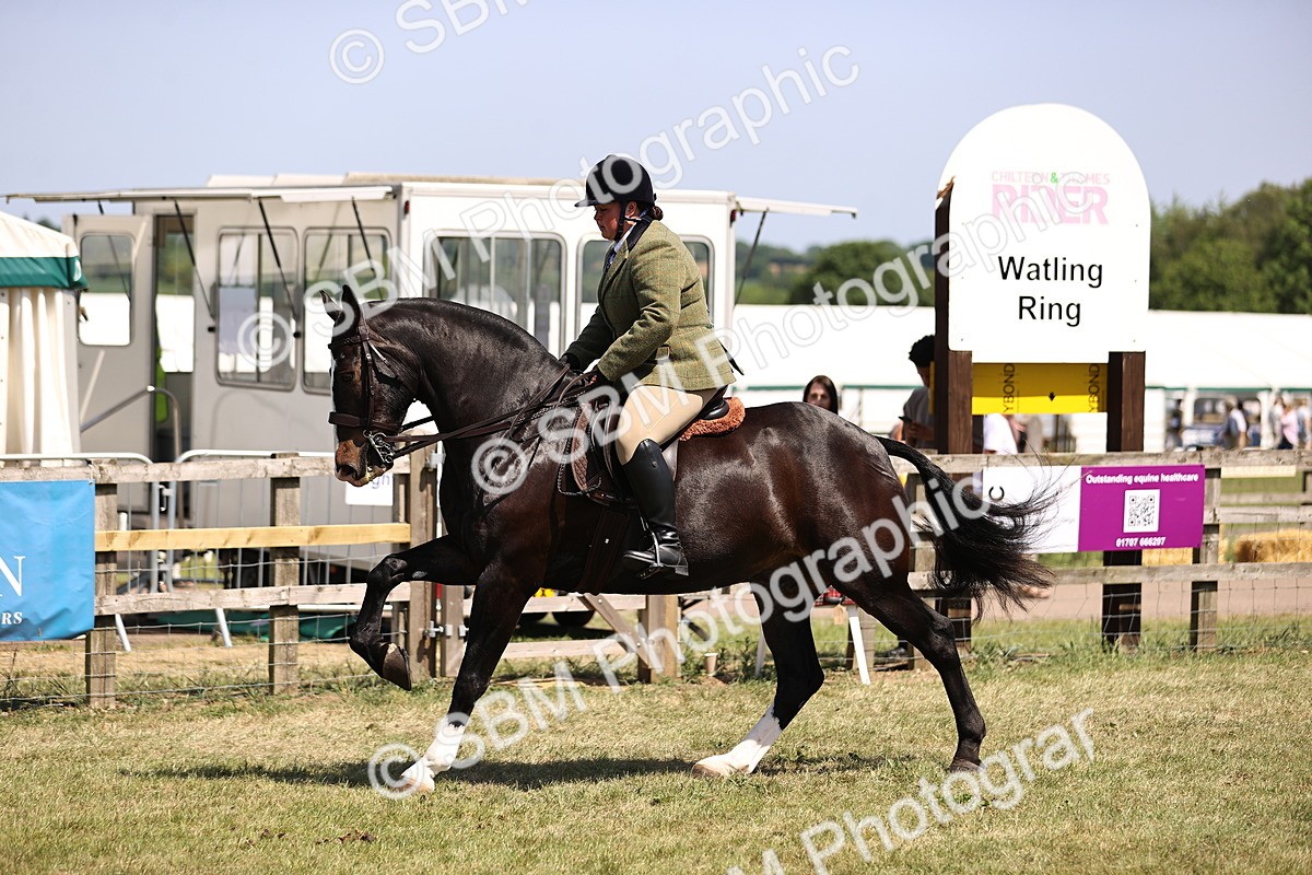 SBM_17860 - Class 81-83 - TSR Ridden Amateur of the Year - Horses