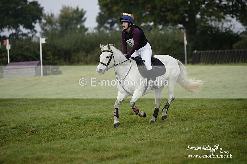  WWHT 171021 0829 - Open Novice (0.80m)  17/10/21