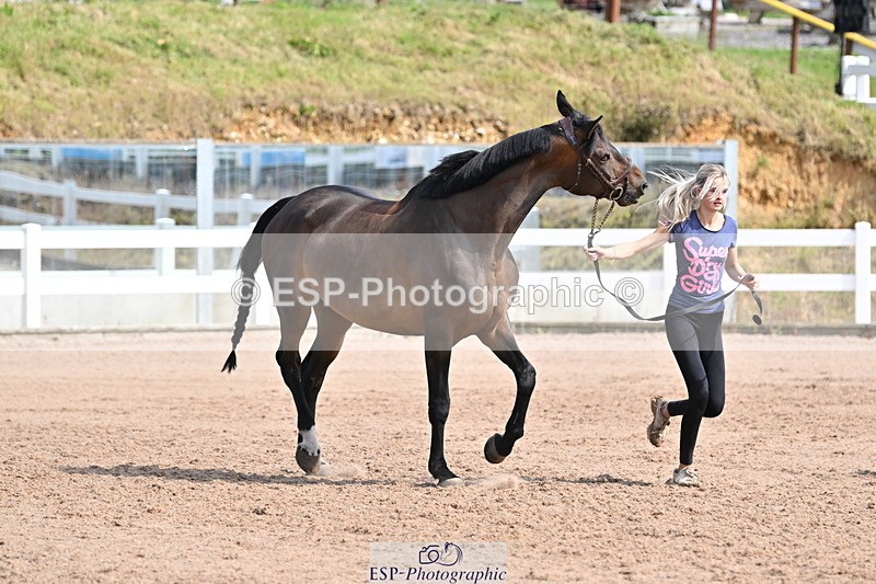 240717A-160324-03301 - Trot Up 4pm to 5pm
