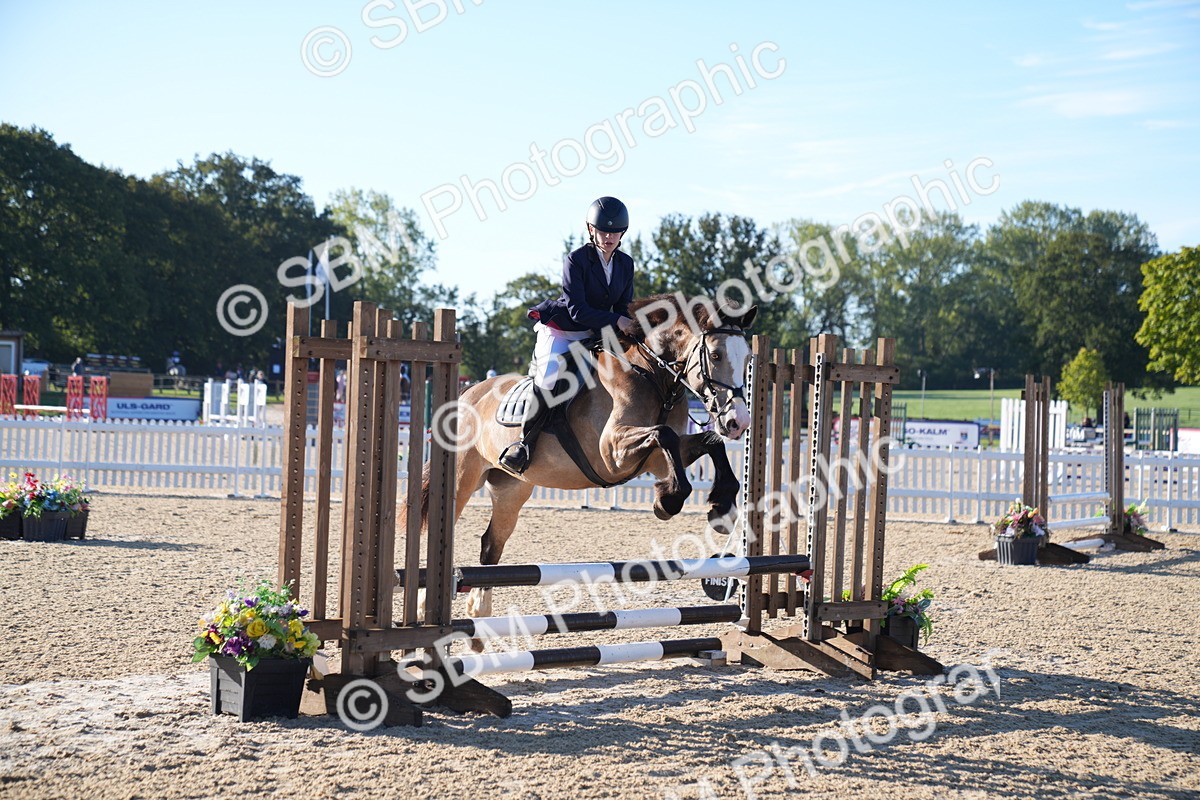 SBM_14053 - J59 - Clear Round - 65cm