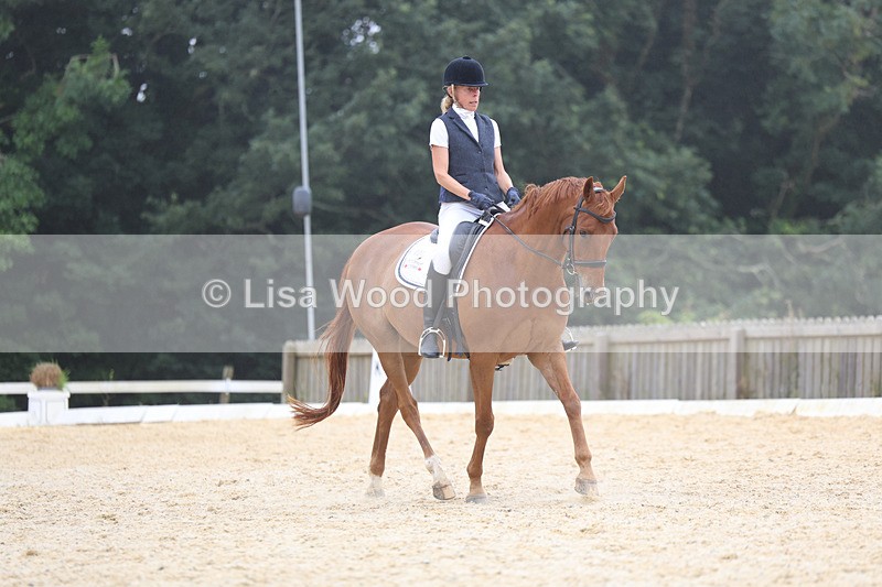 3E7A7409 - Class 9: Elementary 4 2024 - No sections