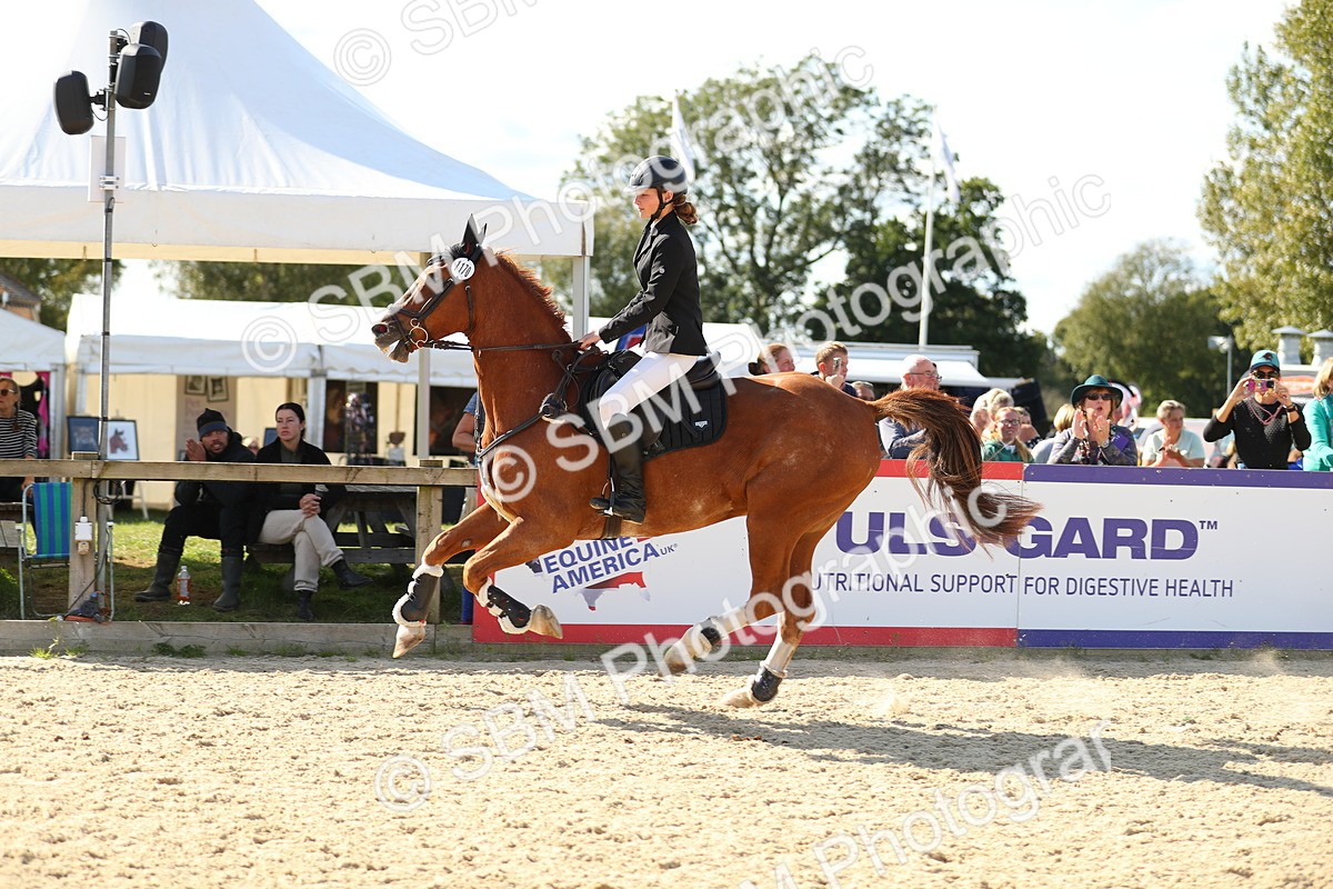 SBM_24429 - J45 - Accumulator 70 80cm