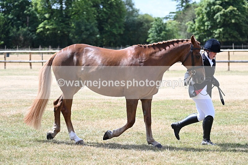 WJ7_2006 - Class 4a Prettiest Mare 14.2hh and over hand