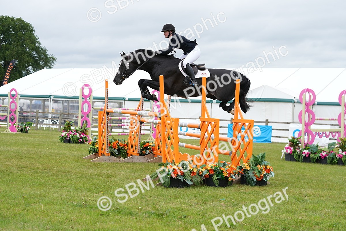 SBM_03318 - Class 201 - British Horse Feeds Speedi Beet Horse of the Year Show Grade  C