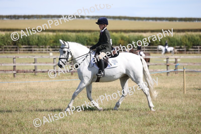20260906-2189 - Class 16 - Family Pony