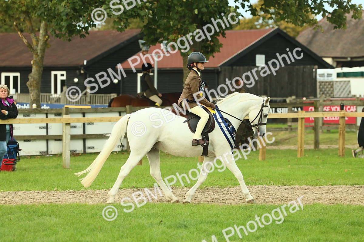 SBM_75237 - Super Supreme Championship