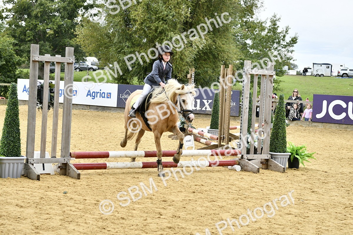 SBM_65386 - J2a mini Tour Junior Pony 30cm Championship