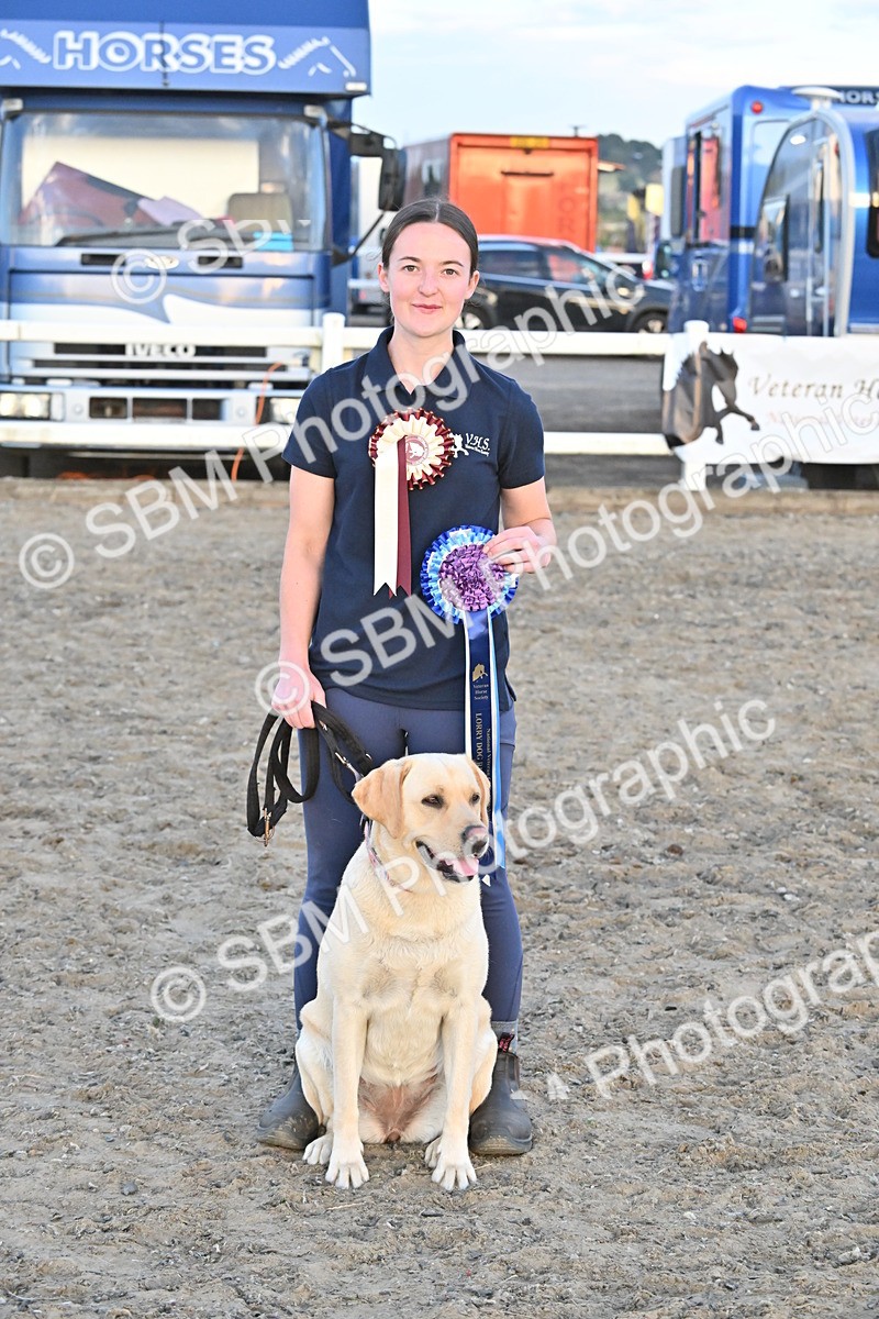 SBM_09728 - Lorry Dogs