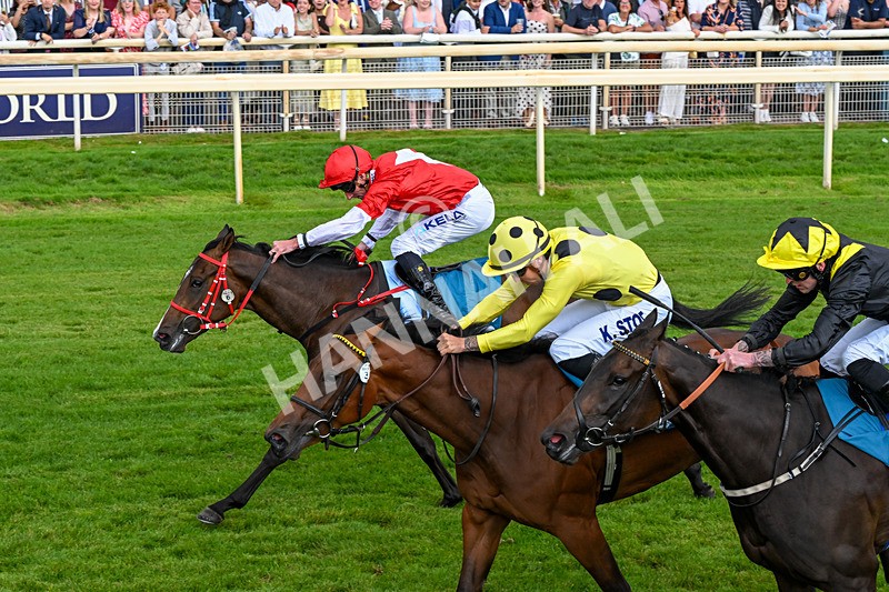 250726-Race 5-Rogue Jewel-1096 - Race 5 15.42pm Sky Bet Price Boosts EBF Fillies' Novice Stakes