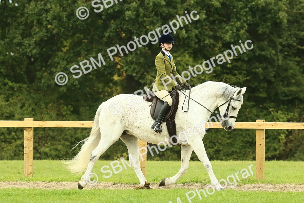 SBM_71865 - S60 - Mountain & Moorland Ridden Large Breeds