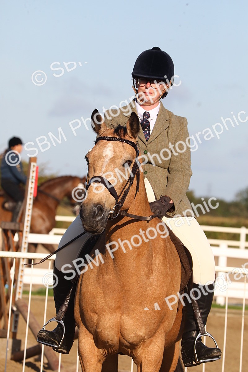 SBM_07884 - Class 501 - Riding Club Pony