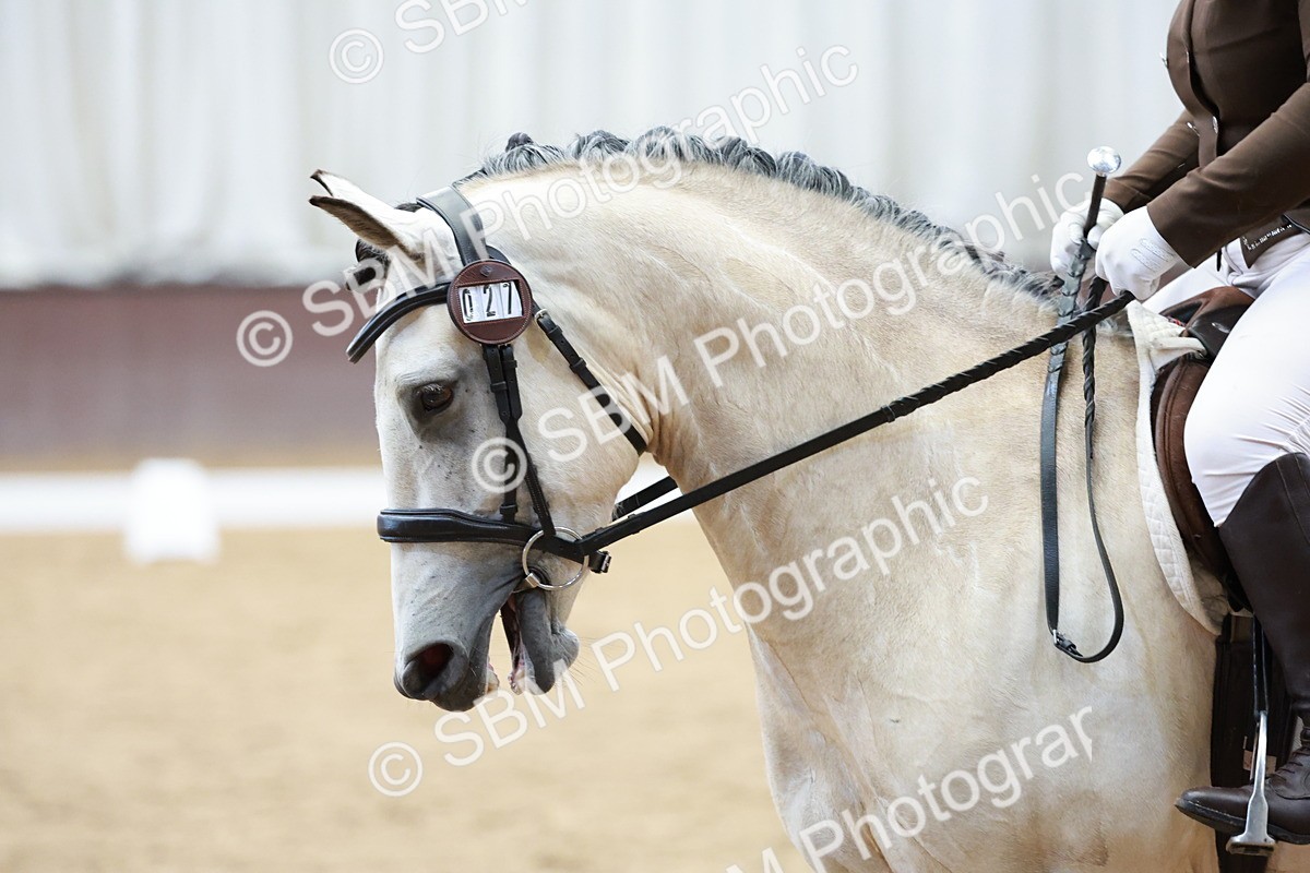 SBM_003545 - Class 4 - Prelim 3