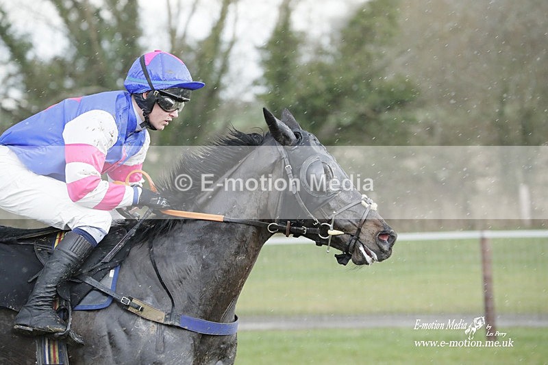 PtP 180323 1168 - Shelfield Park Races with Croome & West Warwickshire Hunt  18/03/23