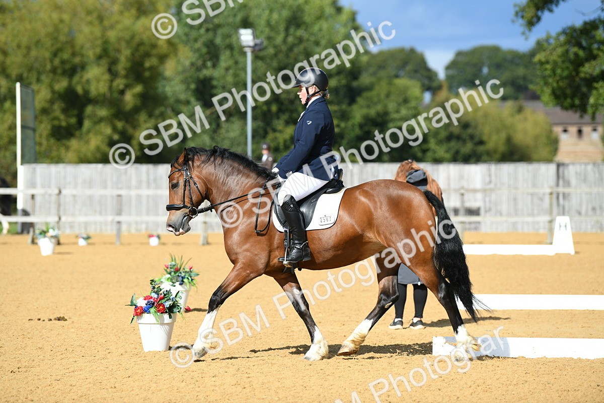 SBM_07462 - D15 Small Tour Championship Novice 24