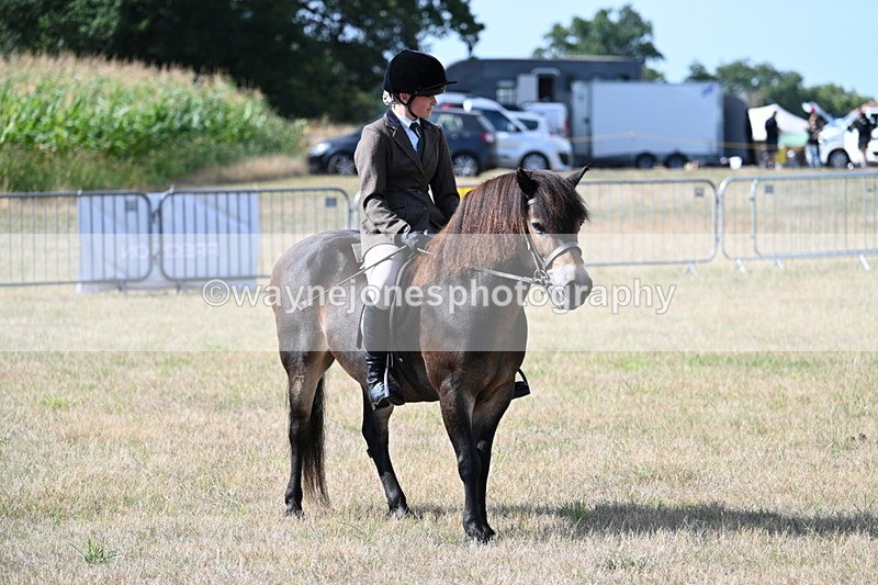 WJ7_2730 - Class 8 Ridden Tack & Turnout