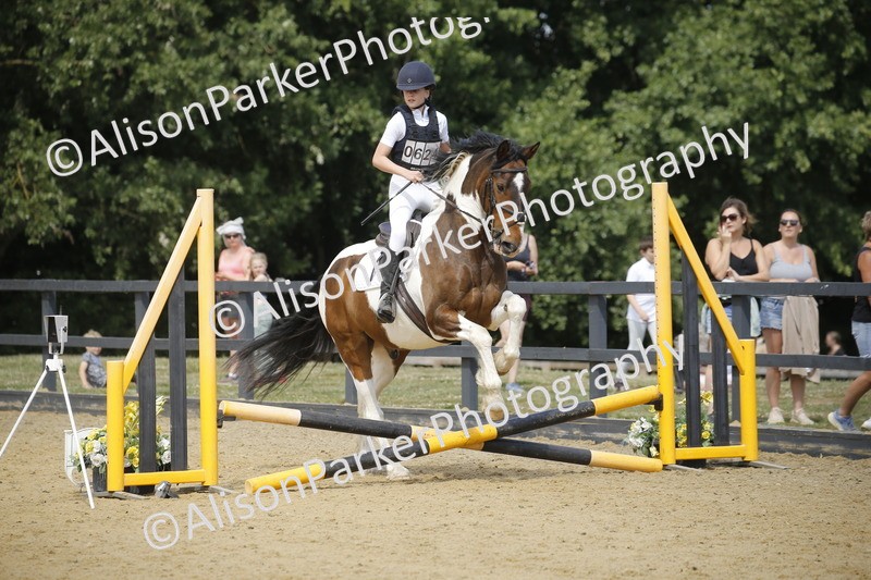 20250622-3879 - 50cm