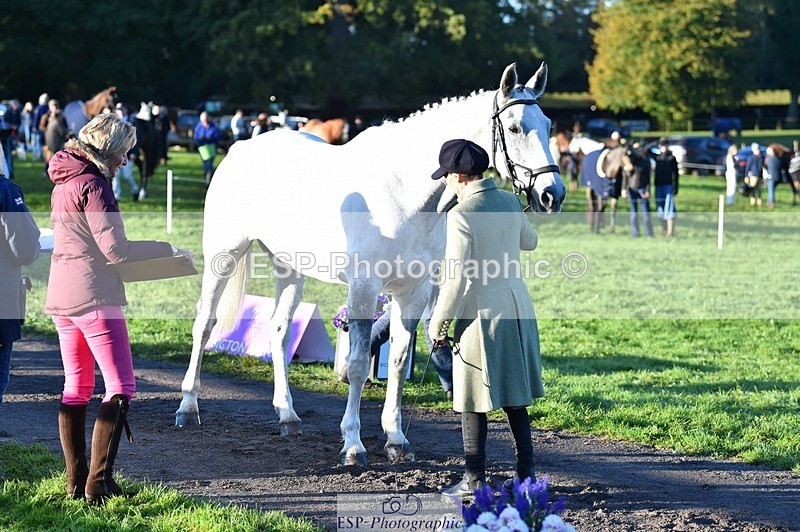 231022-085438-21442 - 618-LORD.PICTON.FREESTYLE-Penny.Corbett-TrotUp+SJ