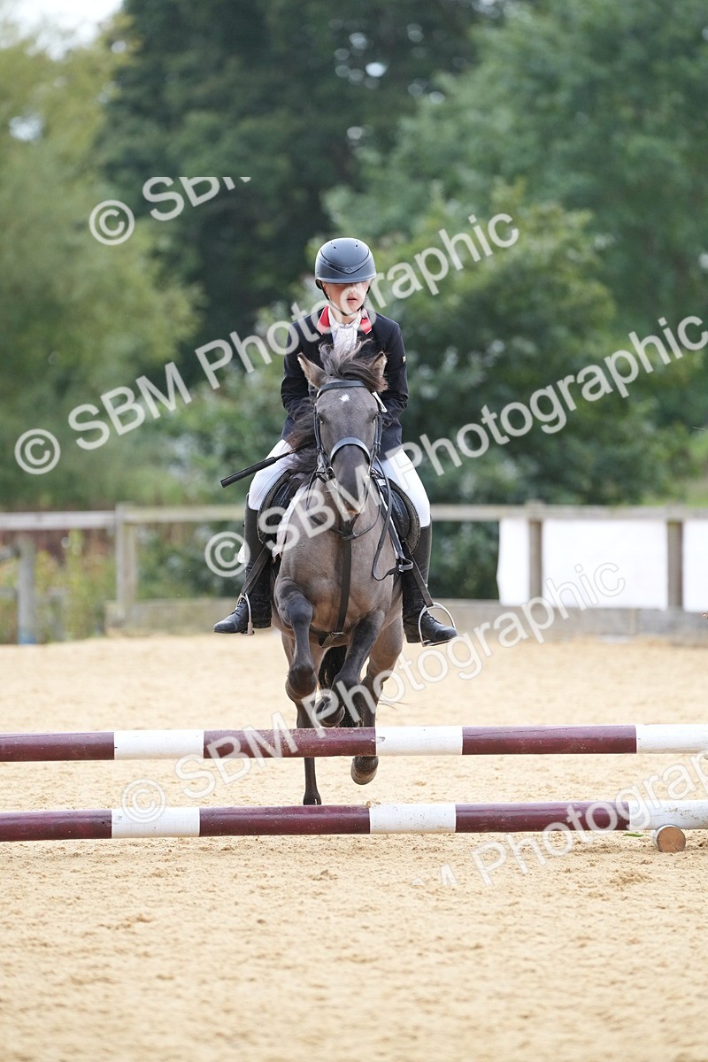 SBM_74872 - J4 - Mini Tour Junior Pony 45cm Championship