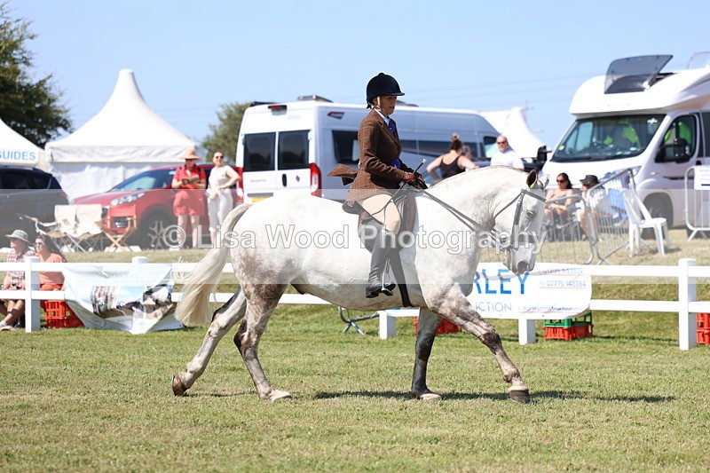 3E7A7518 - Rising Star Ridden Championship