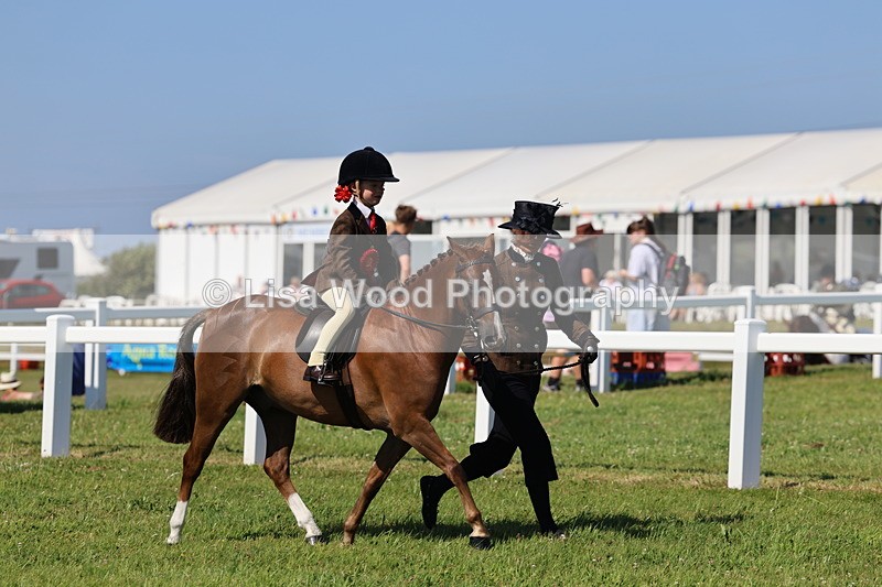 IMG_1840 - Plaited Mini Ridden Championship