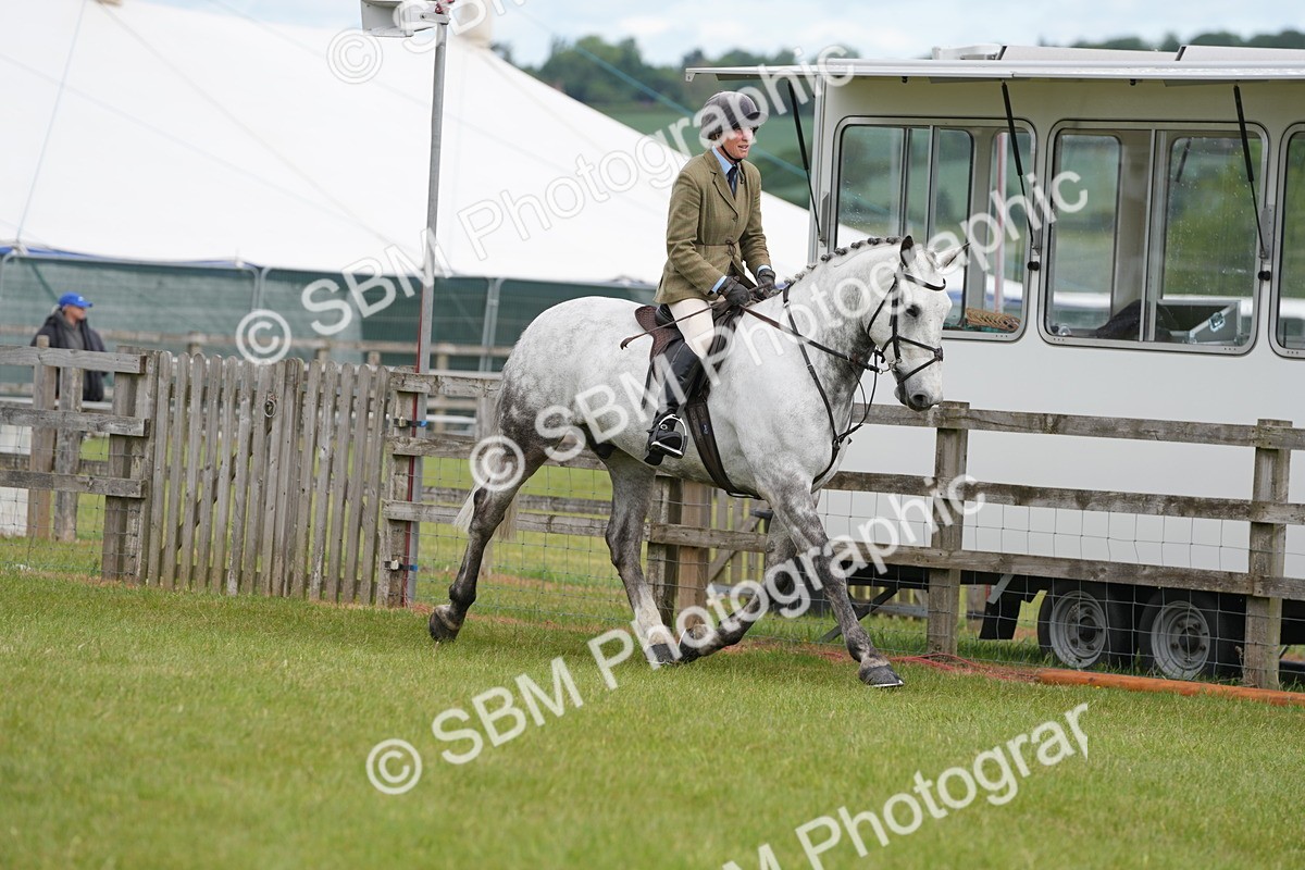 SBM_14871 - Class 100-102 - RIHS Working Hunter