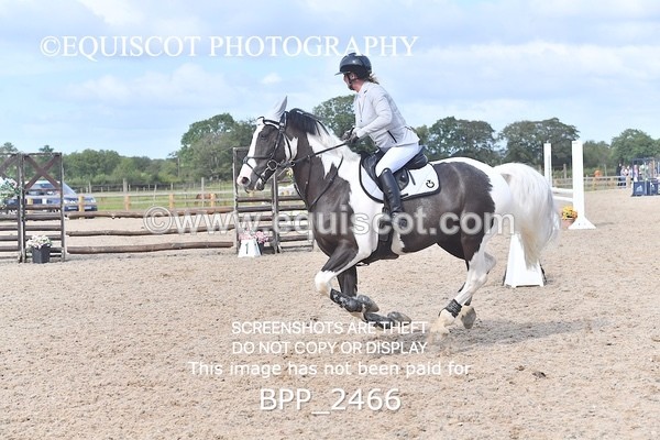 BPP_2466 - DERBY CLASS 7 - 80CM