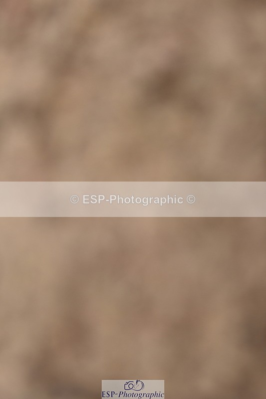 240528A-144014-00037 - 40 & 50cm